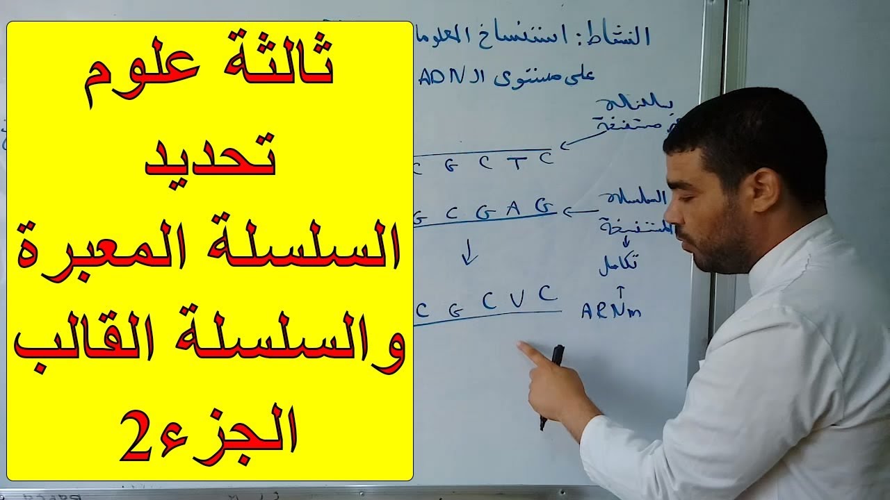 السلسلة المعبرة والسلسلة القالب
