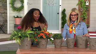 Plow & Hearth Set of 3 Metal Dog Bucket Planters on QVC