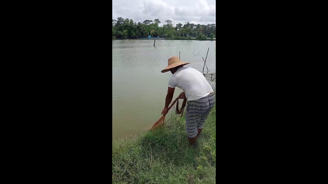 Traditional onal net fishing | bay of bengal fishing | skill catch giant fish
