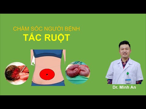 Video: Tắc nghẽn ruột và phẫu thuật bụng ở chó