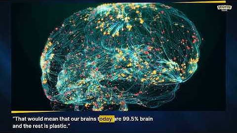 First-confirmed images of microplastics in the brain — possible link to dementia
