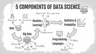 5 Components of Data Science