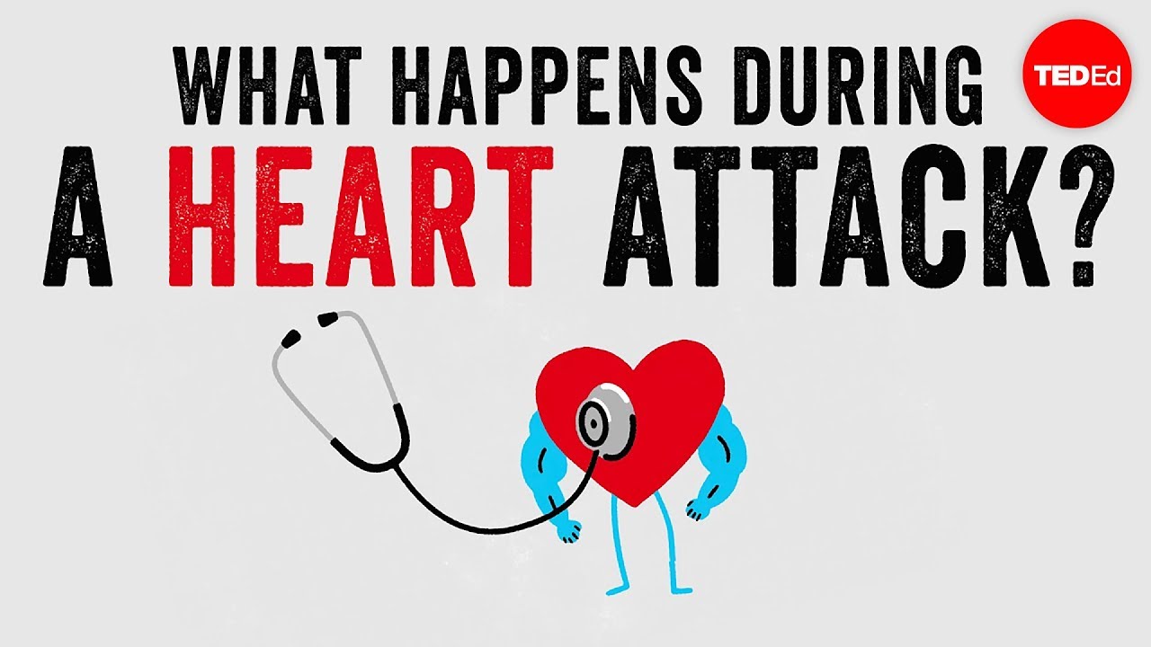 What happens during a heart Krishna Sudhir