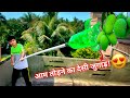 Aam Todne Ka Smart Jugaad | Desi Village Hack Without Climbing | Experiment With Soyeb