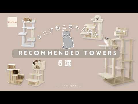 シニア猫におすすめのキャットタワー5選【キャットタワー専門店Mau