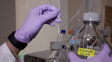 Lab Protocol: Operating Agilent HPLC