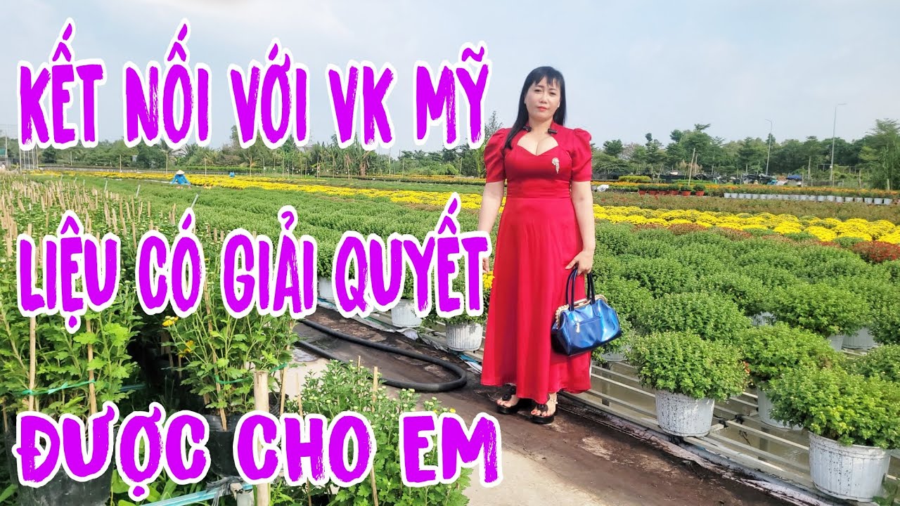 NGUYÊN U45 KẾT NỐI VK MỸ LIỆU CÓ GIẢI QUYẾT ĐƯỢC VẤN ĐỀ 