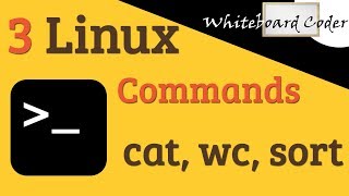 Celebrity 3 linux commands: cat, wc, sort Wealth