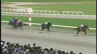 現地購入的中単勝馬券【2000年南部杯】ゴールドティアラ ゴールドシップ 引退年 宝塚記念&有馬記念 現地単勝馬券&出馬