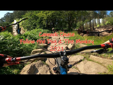 GoPro MTB: Cannock Chase 2021- Follow the Dog & The Monkey