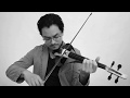 Yumeji's Theme - Shigeru Umebayashi - (Violín)