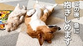 まるで あやしい儀式 Twitterで話題の3兄妹にホッコリ Youtube まるで あやしい儀式 Twitterで話題の3兄妹にホッコリ Youtube