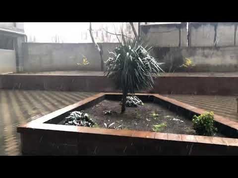 Martis tovli თოვლი მარტში