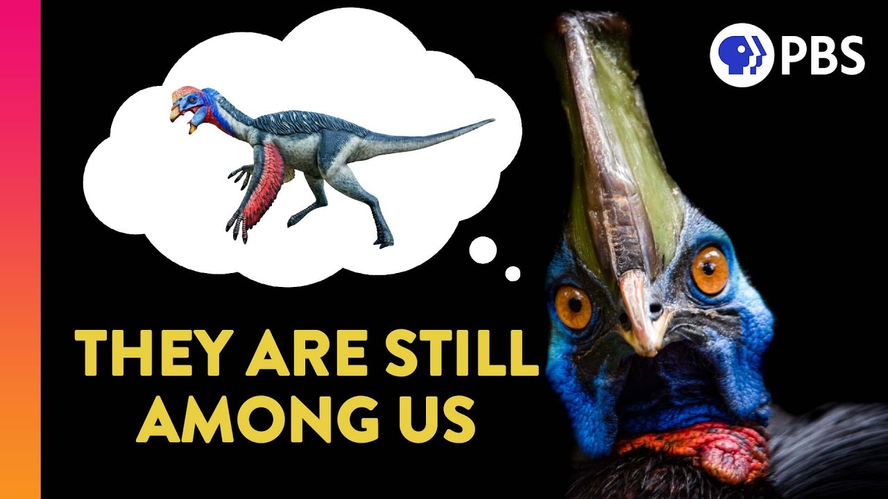 ⁣Did Dinosaurs Really Go Extinct?