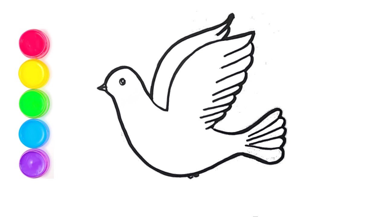 Vẽ chim bồ câu | Vẽ con chim bồ câu | How to draw a dove #drawing #dove -  YouTube