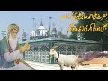 Hazrat ali ahmed sabir kaliyar ki kramat bhunni bakri zinda ho gielife history and kramat sufism