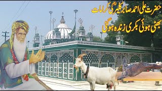 Hazrat Ali Ahmed Sabir kaliyar ki kramat Bhunni Bakri Zinda Ho Gie/Life History and Kramat -Sufism