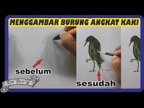  Menggambar  burung step by step menggunakan  pensil  dengan 