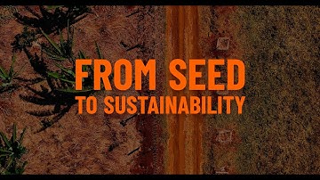 From Seed To Sustainability