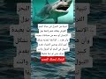 تنبية من التبول في مياة البحر القرش يمكنه شم Viral اكسبلور تحشي Memes علم النفس Funny تنبية من التبول في مياة البحر القرش يمكنه شم Viral اكسبلور تحشي Memes علم النفس Funny