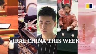 Viral China this week: How tea is served in the Great Hall of the People in China and more