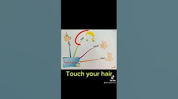 Học tiếng Anh qua mind map 1. Cấu trúc touch your
