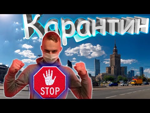 Бейне: Жаңа жануарларға карантин қоюдың маңызы