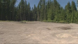 Couple killed in homicide near Estacada
