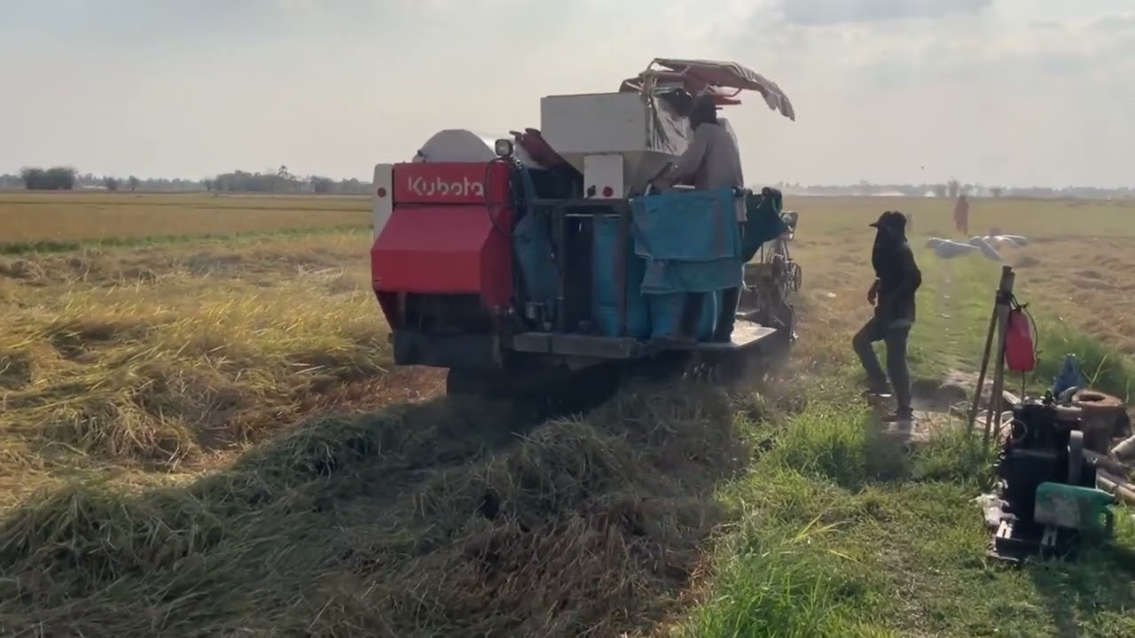 Best Work Harvest Rice By Kubota 70 Pro