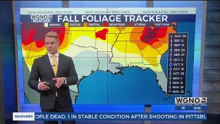 Información Patchy Fall Foliage Actualización