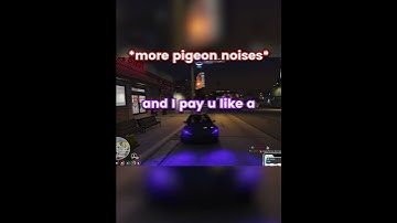 Pigeon Noises 🐦