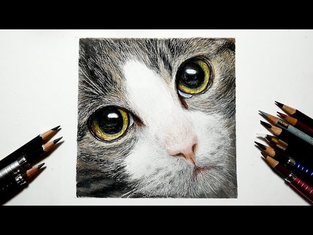 色鉛筆画 猫を描いてみた リアルな絵 Realistic colored pencil 