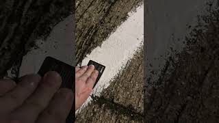 IMG 3856
