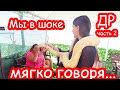 VLOG День Рождения Алисы 3 годика. Шоу с животными