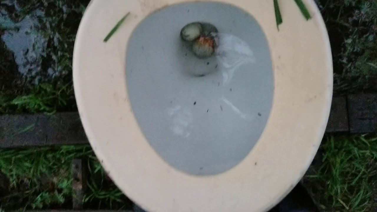 861. 1972 Kohler wellworth flushing golf balls YouTube