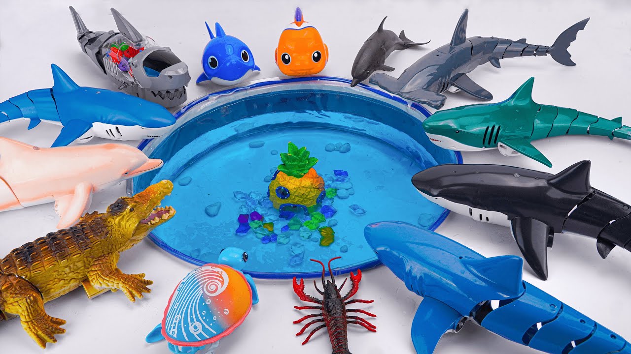 [🦈Toy ASMR🐊] Robo Shark & Crocodile & Sea Animals Swimming Pool Playset ...