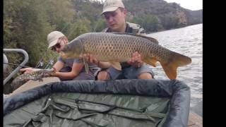 pêche carpe 2016 Ebre espagne nonobaits