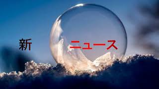 最新ニュース - 星名美津紀、触れたくなる柔肌のバニーランジェリーショット公開「これが美だ」