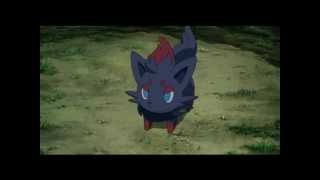 Zorua Laugh