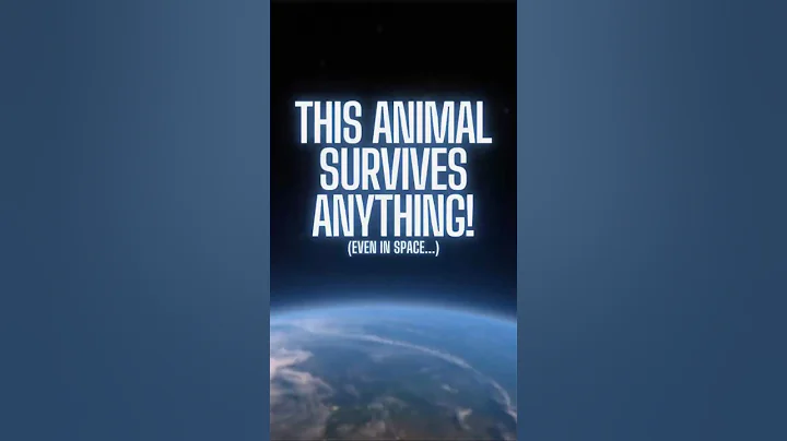 This Tiny Creature Can Survive SPACE?! 🚀😱