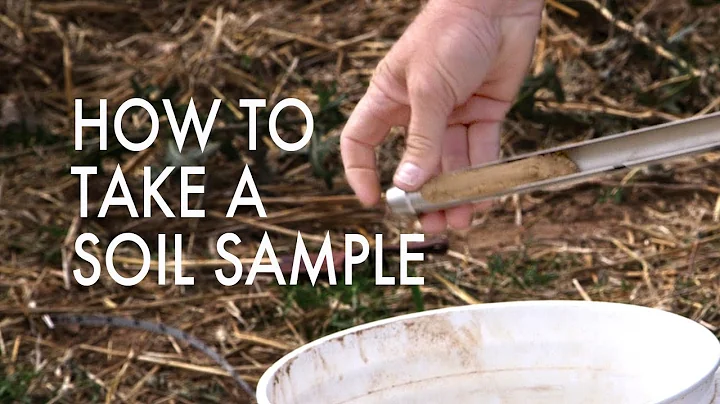 How to Take a Soil Sample - DayDayNews