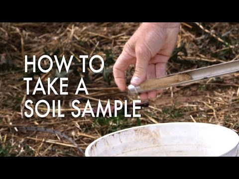 How to Take a Soil Sample