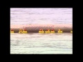 Thousands of Rubber Ducks Race Down Chinese River