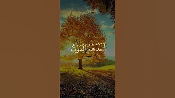 حتى إذا جاء أحدكم الموت قال رب ارجعون لعلي أعمل صالحا فيما تركت | تلاوة من سورة المؤمنون للمنشاوي