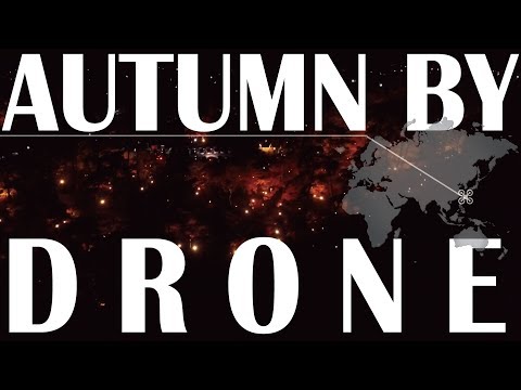 Drone in Japan【Autumn leaves×Drone】4K AERIAL SHOT