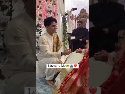 Maula Mere Maula Mere