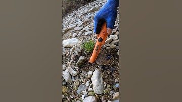 Treasure Hunting in River with Metal Detector #viralshorts #metaldetecting #treasurehunting