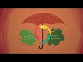 Understanding Nationalism: Religious vs. Secular