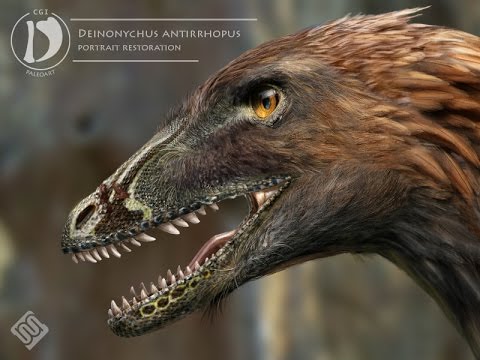 Are birds reptiles? - YouTube