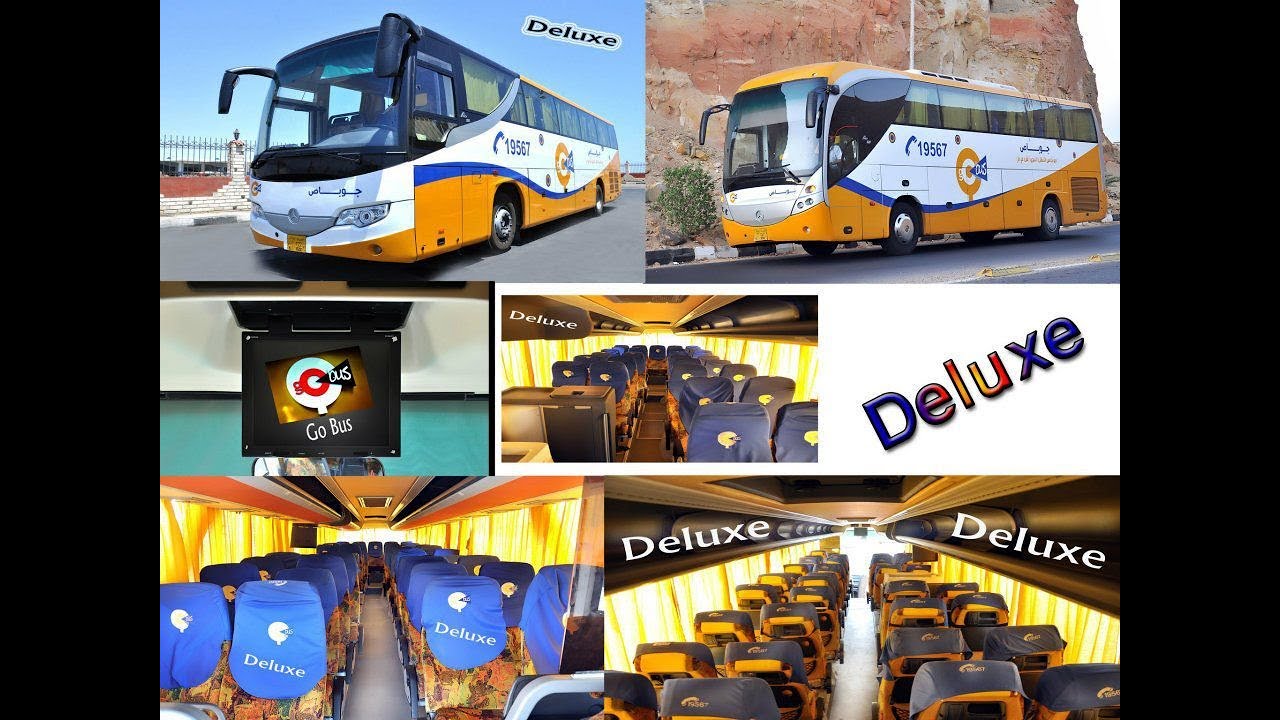 Гоу автобус. Автобусы в Египте. GOBUS Египет. Египетский автобус. Go Bus Elite Plus автобусы.